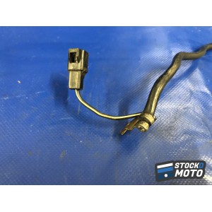 Cable de masse SUZUKI SV 650 de 1999 à 2002