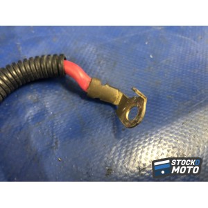 Cable de batterie SUZUKI GSF 600 BANDIT