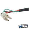 CONTACTEUR A CLE 50 A BOITE ADAPTABLE HONDA 50 DAX (DIAM 24mm)